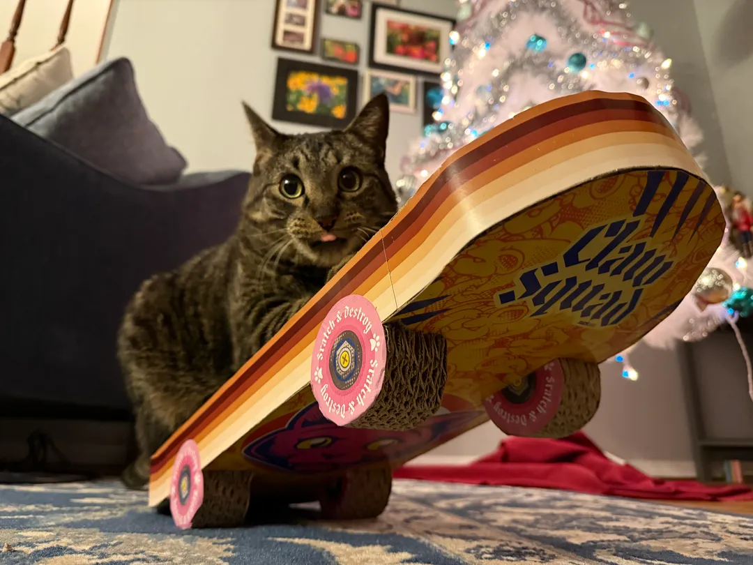 A cat on a skateboard scratch pad